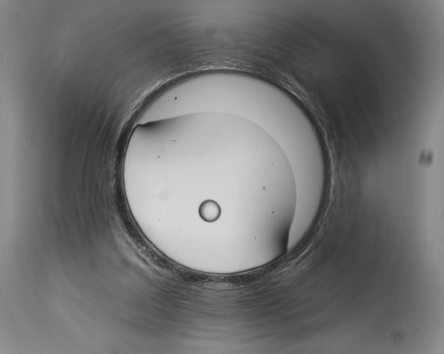 X0000112930203200910051139