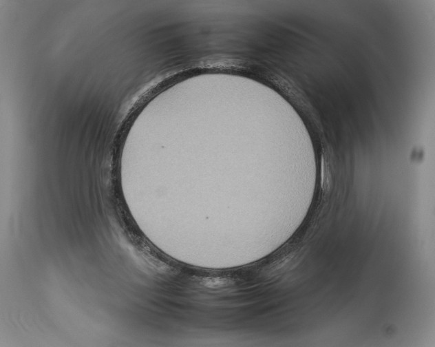 X0000112930204200910051139
