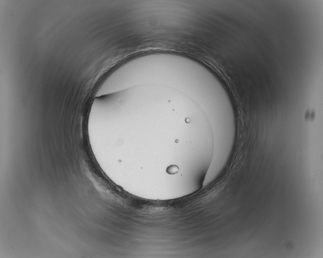 X0000112930205200910051139