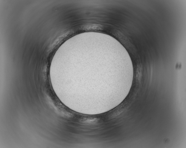 X0000112930206200910051139