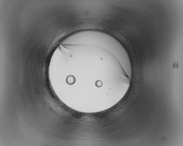 X0000112930207200910051139