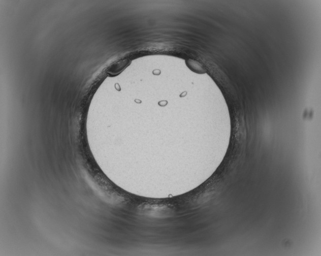 X0000112930208200910051139