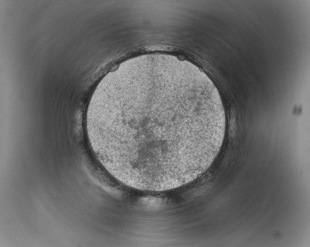 X0000112930211200910051139