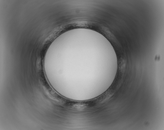 X0000112930213200910051139