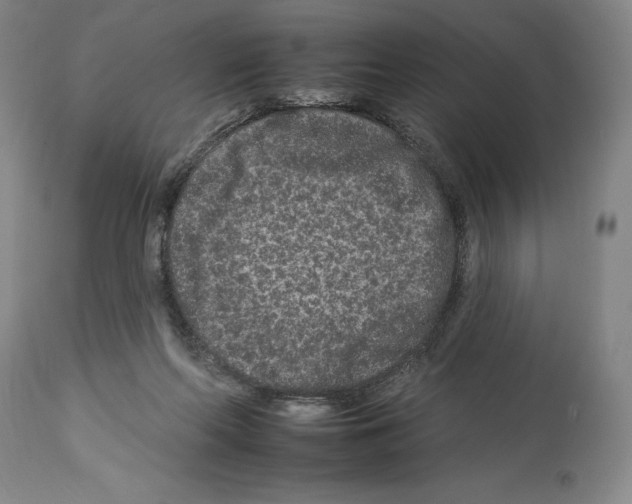 X0000112930214200910051139
