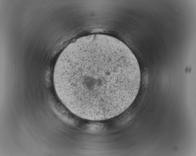 X0000112930215200910051139