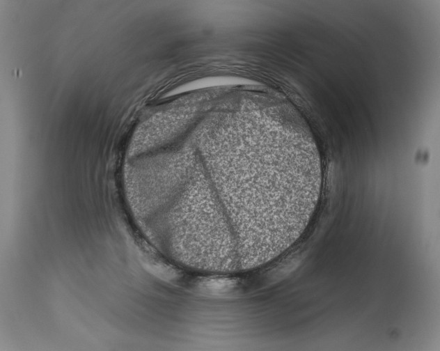 X0000112930217200910051139