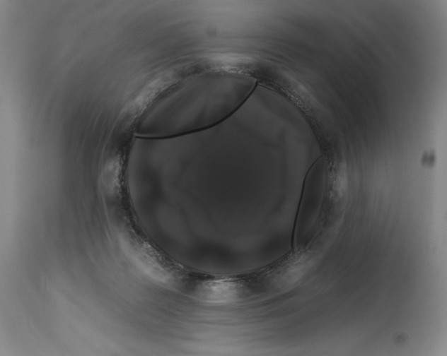 X0000112930219200910051139