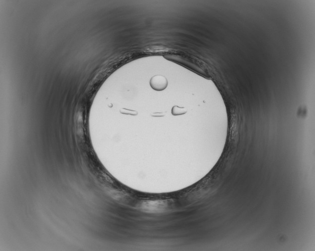 X0000112930220200910051139