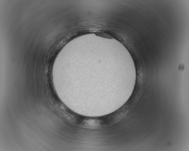 X0000112930221200910051139