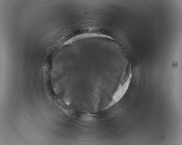 X0000112930222200910051139