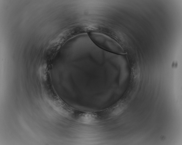 X0000112930223200910051139