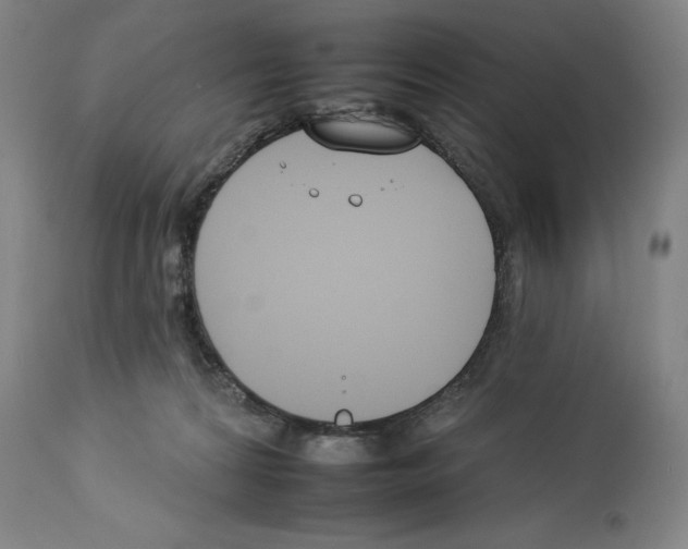 X0000112930224200910051139