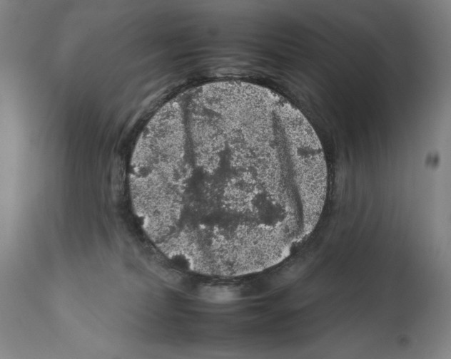 X0000112930228200910051139