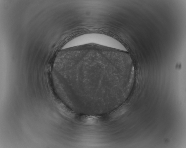 X0000112930229200910051139