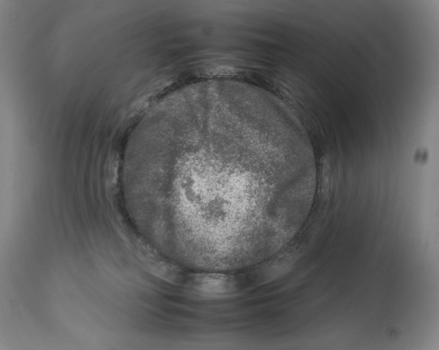 X0000112930230200910051139