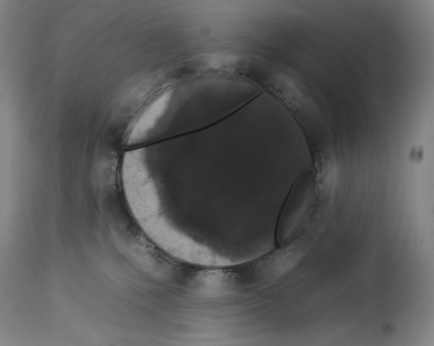 X0000112930231200910051139