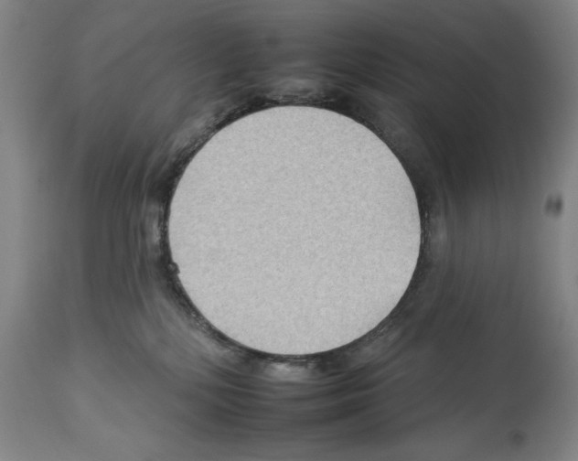 X0000112930232200910051139