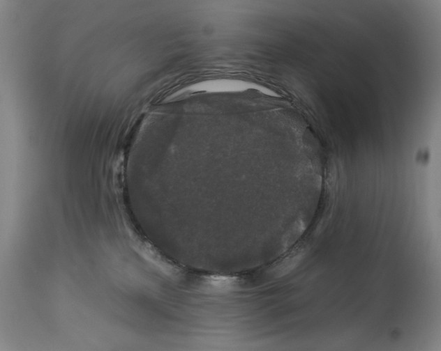 X0000112930233200910051139