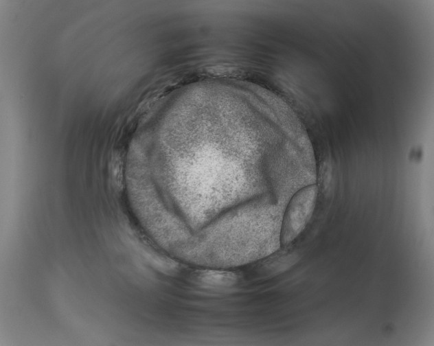 X0000112930234200910051139