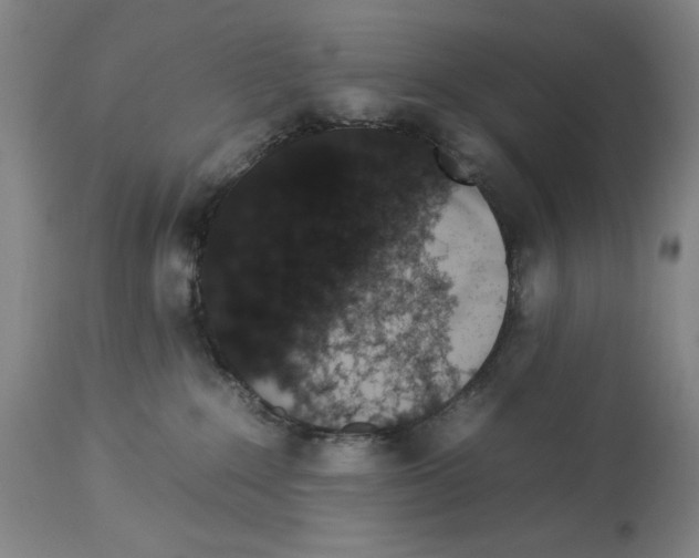 X0000112930235200910051139