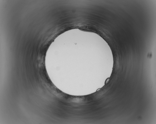 X0000112930236200910051139