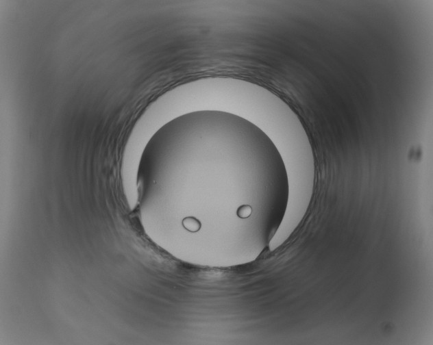 X0000112930237200910051139