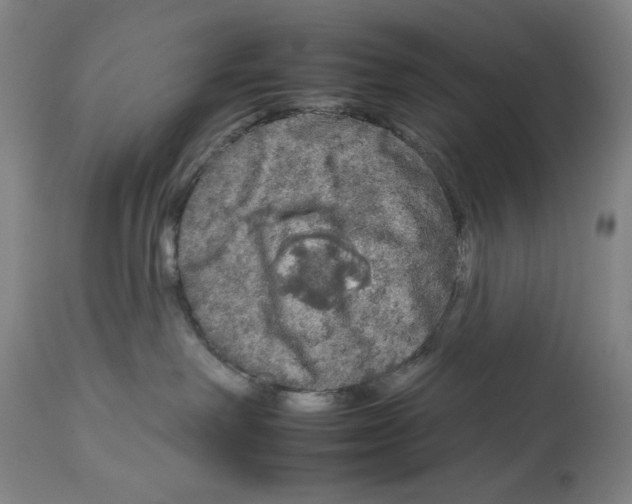 X0000112930238200910051139