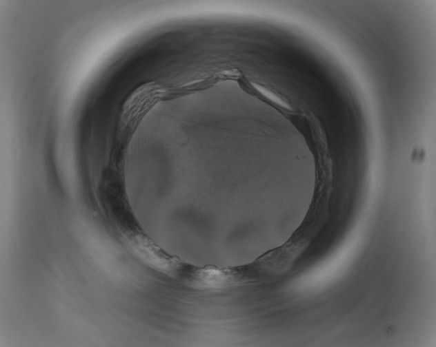 X0000112930239200910051139