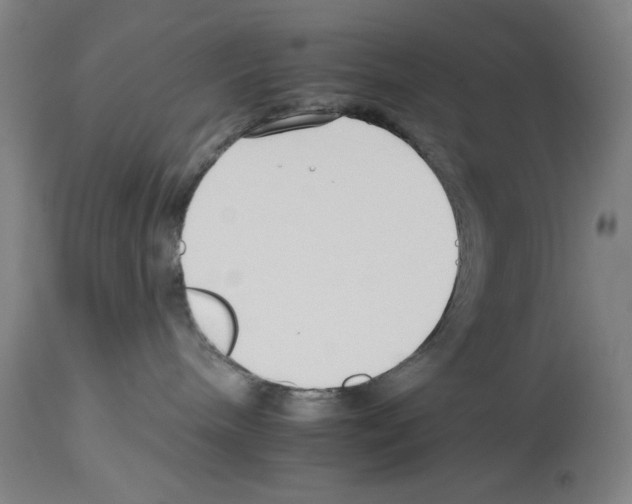X0000112930240200910051139