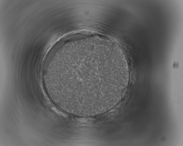 X0000112930241200910051138