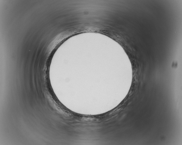 X0000112930242200910051138