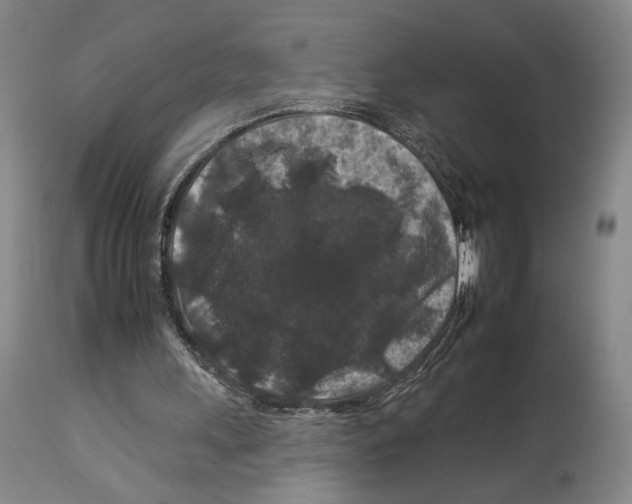 X0000112930243200910051138