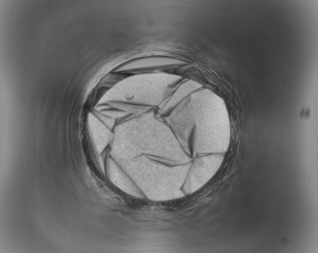 X0000112930244200910051138