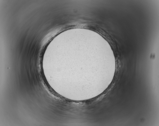 X0000112930245200910051138