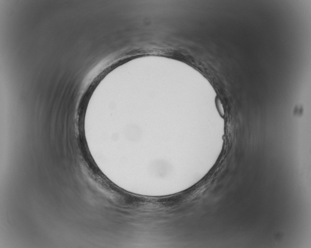 X0000112930246200910051138