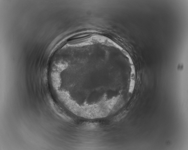 X0000112930247200910051138