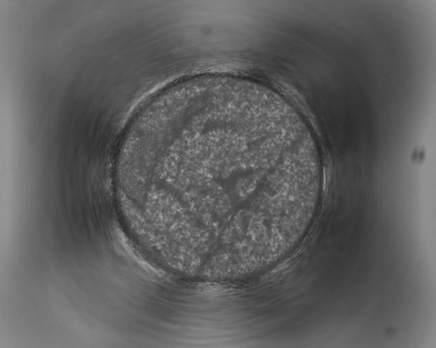 X0000112930249200910051138