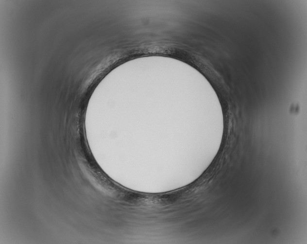 X0000112930250200910051138