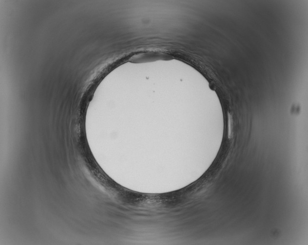 X0000112930252200910051138