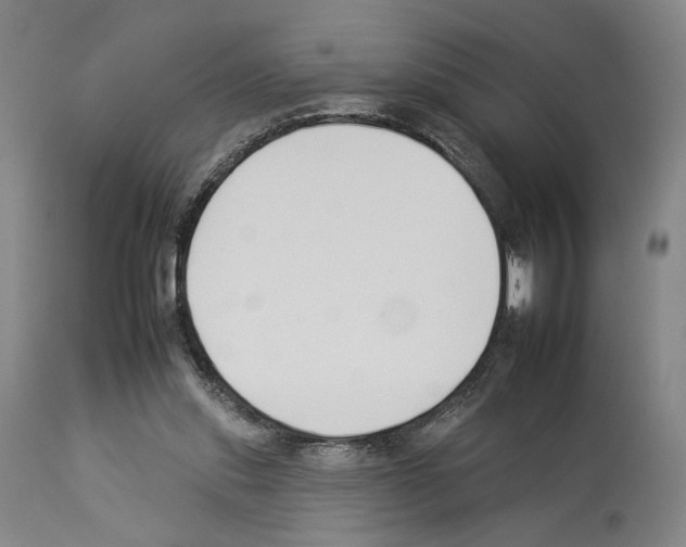 X0000112930253200910051138