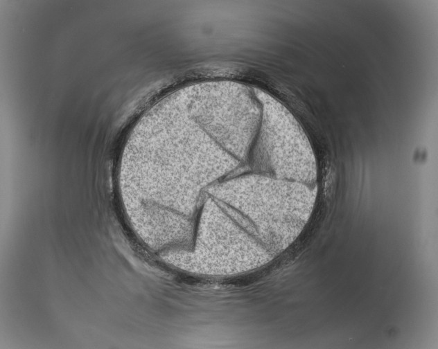 X0000112930254200910051138
