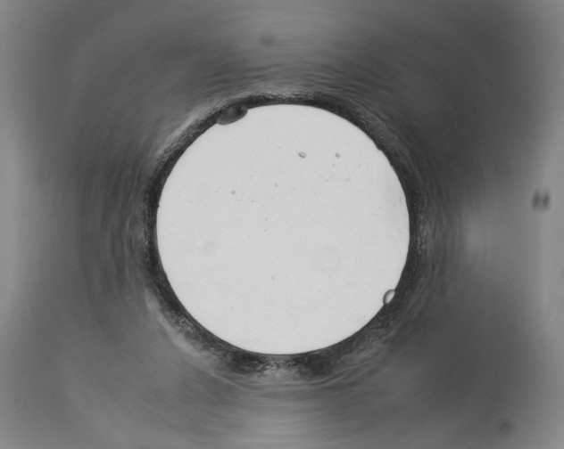 X0000112930256200910051138