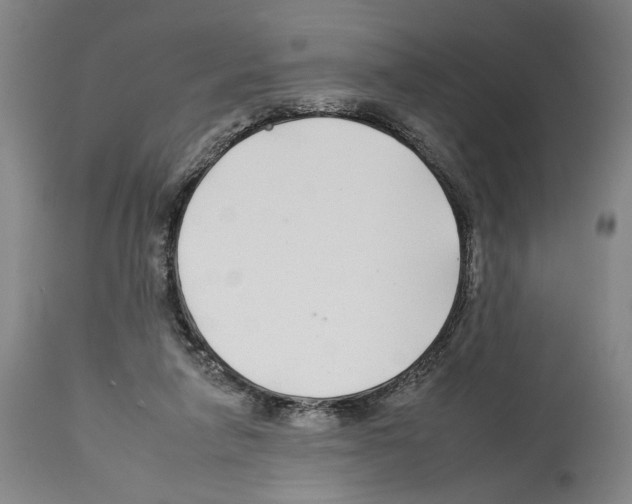 X0000112930258200910051138