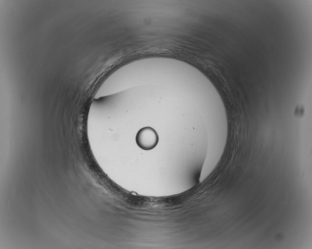 X0000112930260200910051138