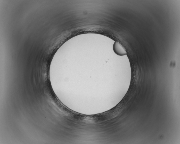 X0000112930261200910051138