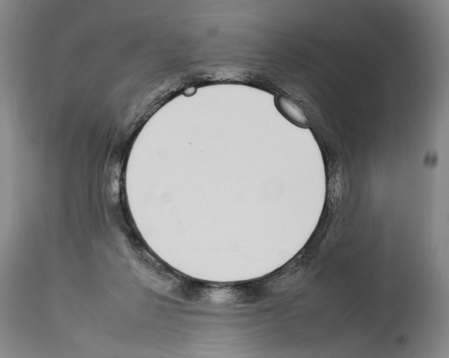 X0000112930264200910051138