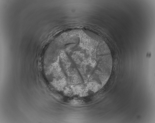 X0000112930270200910051138