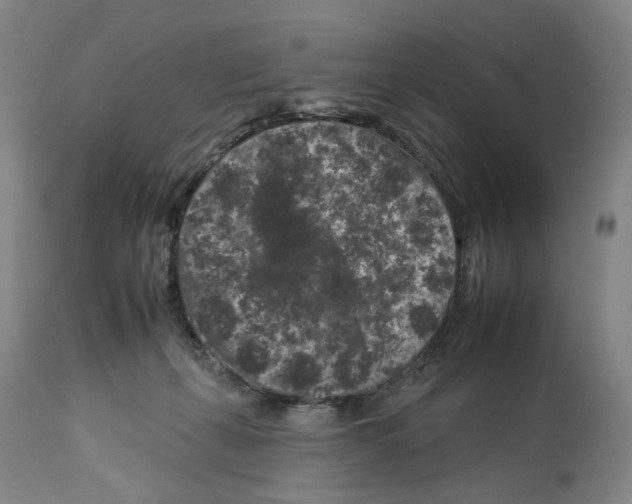 X0000112930271200910051138