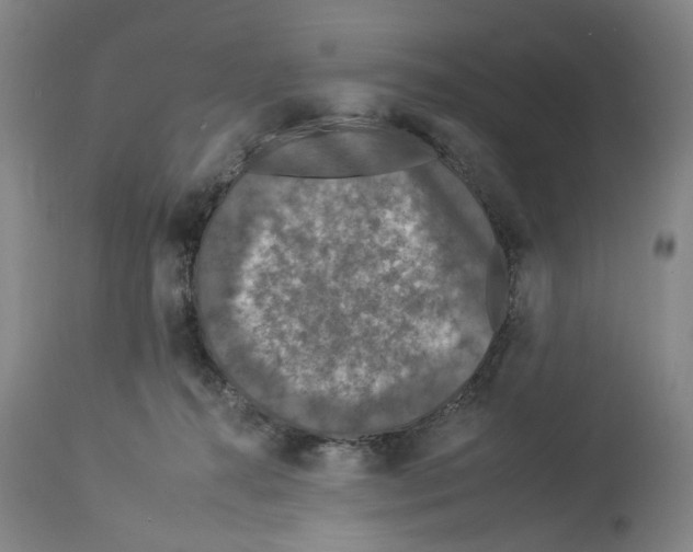 X0000112930272200910051138
